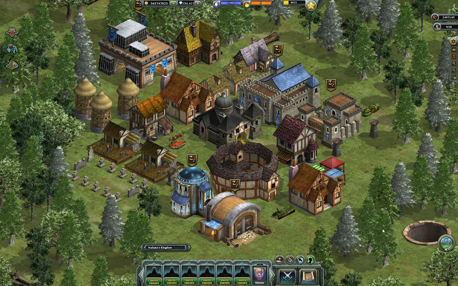 Kingdom Age - кадр 3