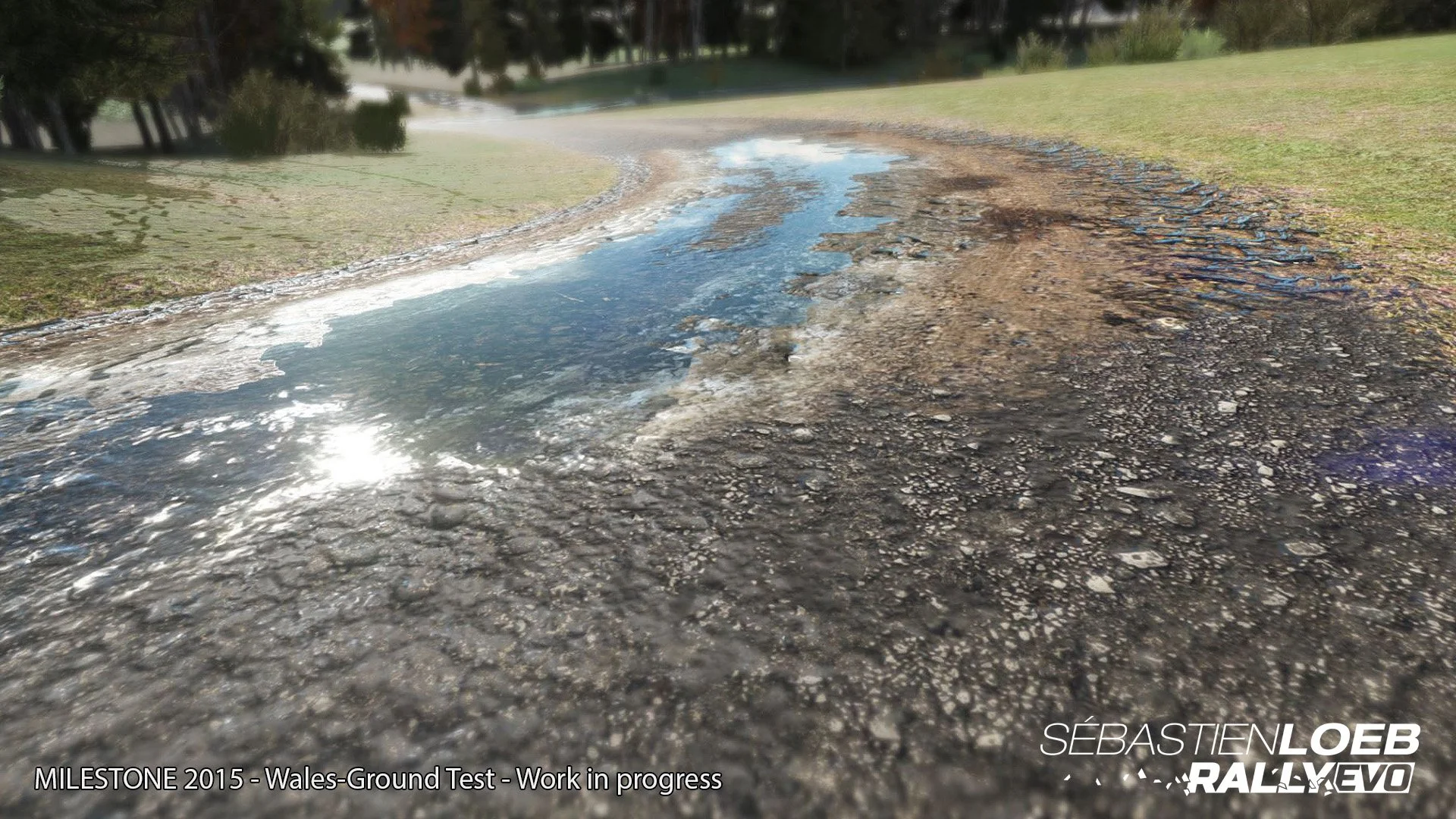 Sébastien Loeb Rally EVO - кадр 9