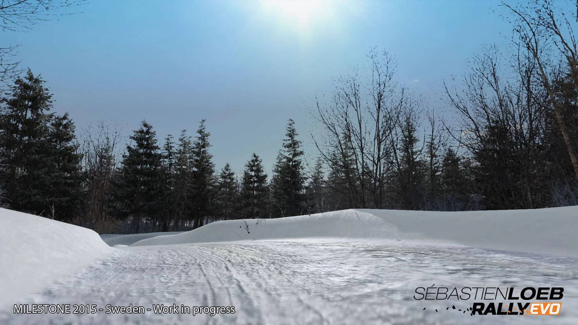 Sébastien Loeb Rally EVO - кадр 15