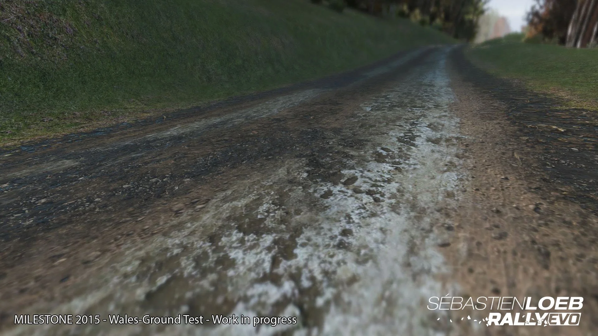 Sébastien Loeb Rally EVO - кадр 10