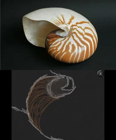 New Art Academy - кадр 5