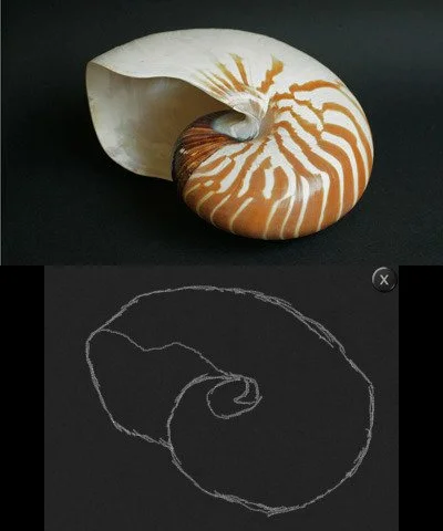 New Art Academy - кадр 9