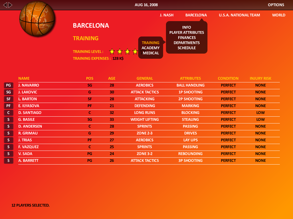 World Basketball Manager 2009 — скриншот 6