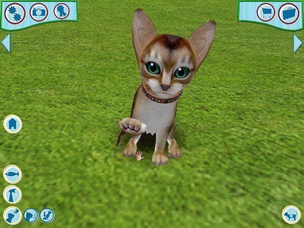Catz 6 — скриншот 6