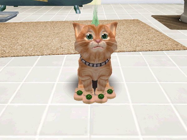 Catz 6 — скриншот 3