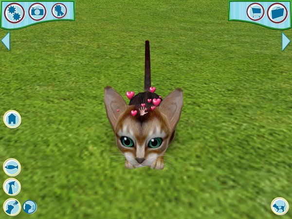 Catz 6 — скриншот 5