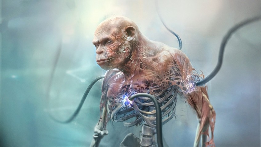 Beyond Good & Evil 2 — скриншот 4