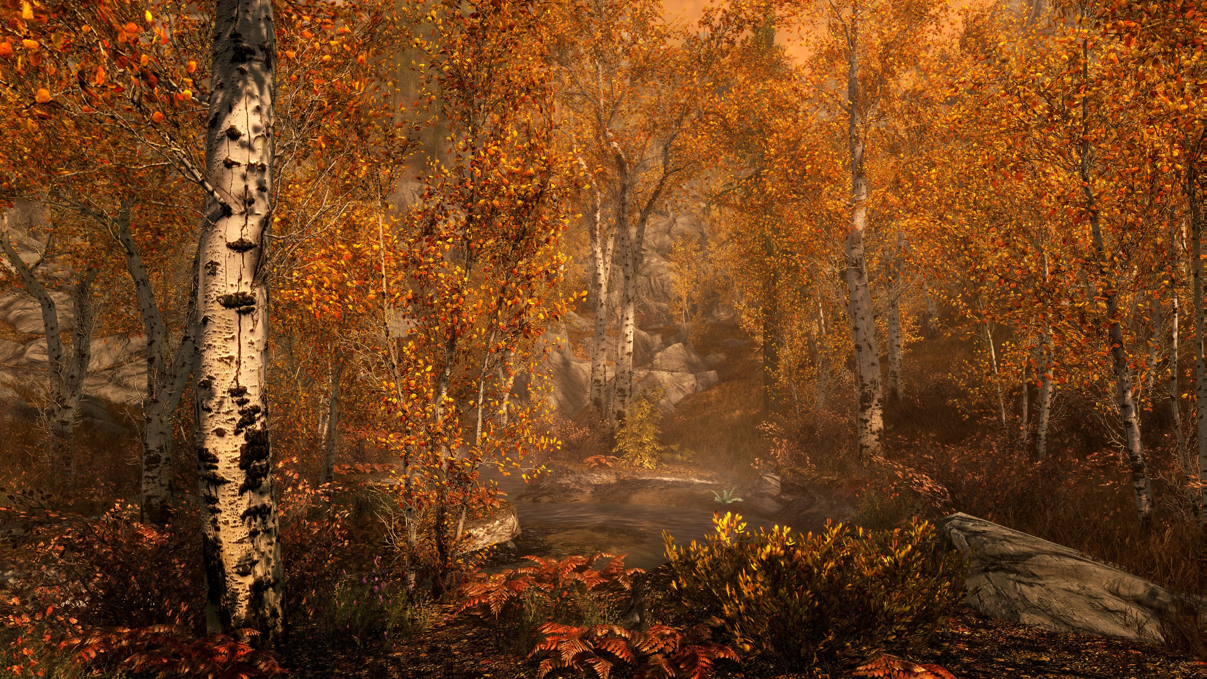 The Elder Scrolls 5: Skyrim - Legendary Edition - кадр 1
