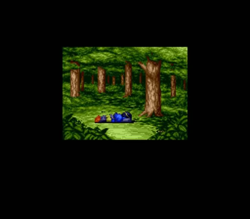 Villigust - кадр 2