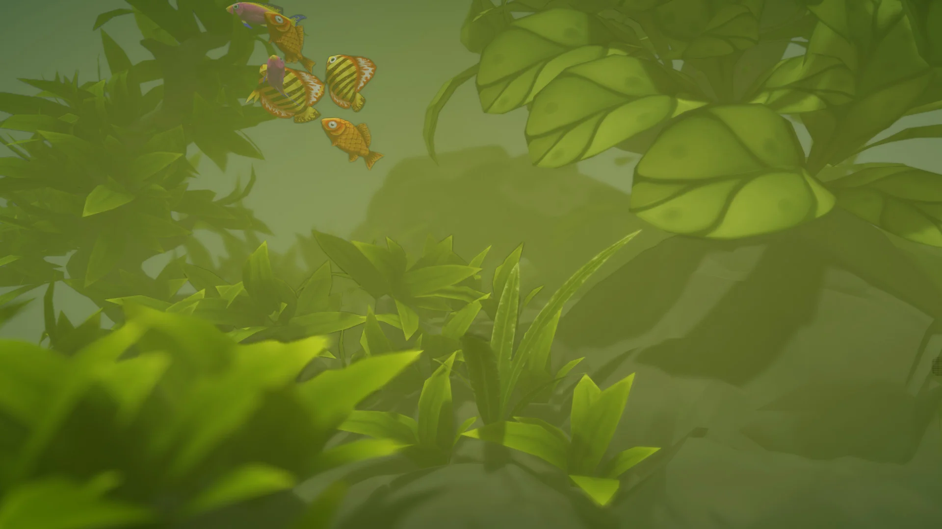 FISHERY - кадр 5