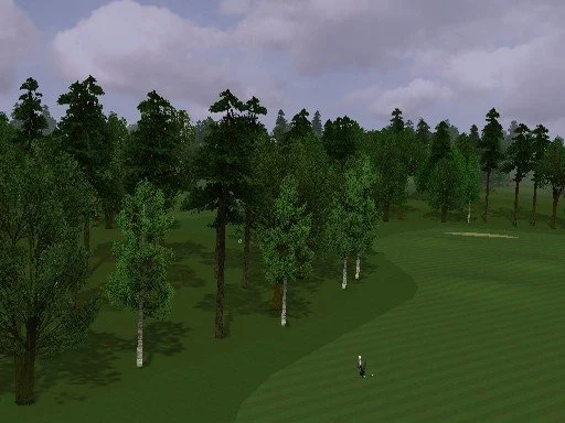 ProStroke Golf: World Tour 2007 - кадр 3