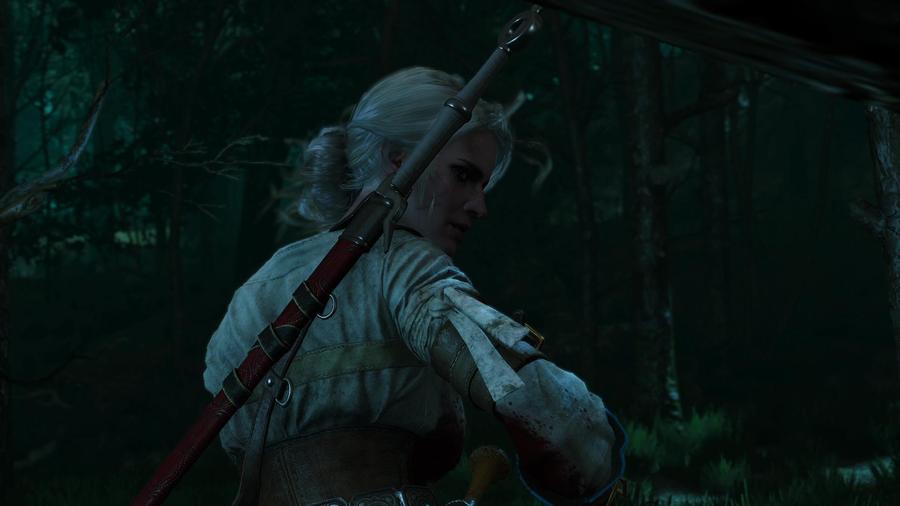 The Witcher 3: Wild Hunt — скриншот 6