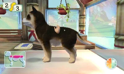 Paws & Claws Pampered Pets Resort 3D - кадр 6