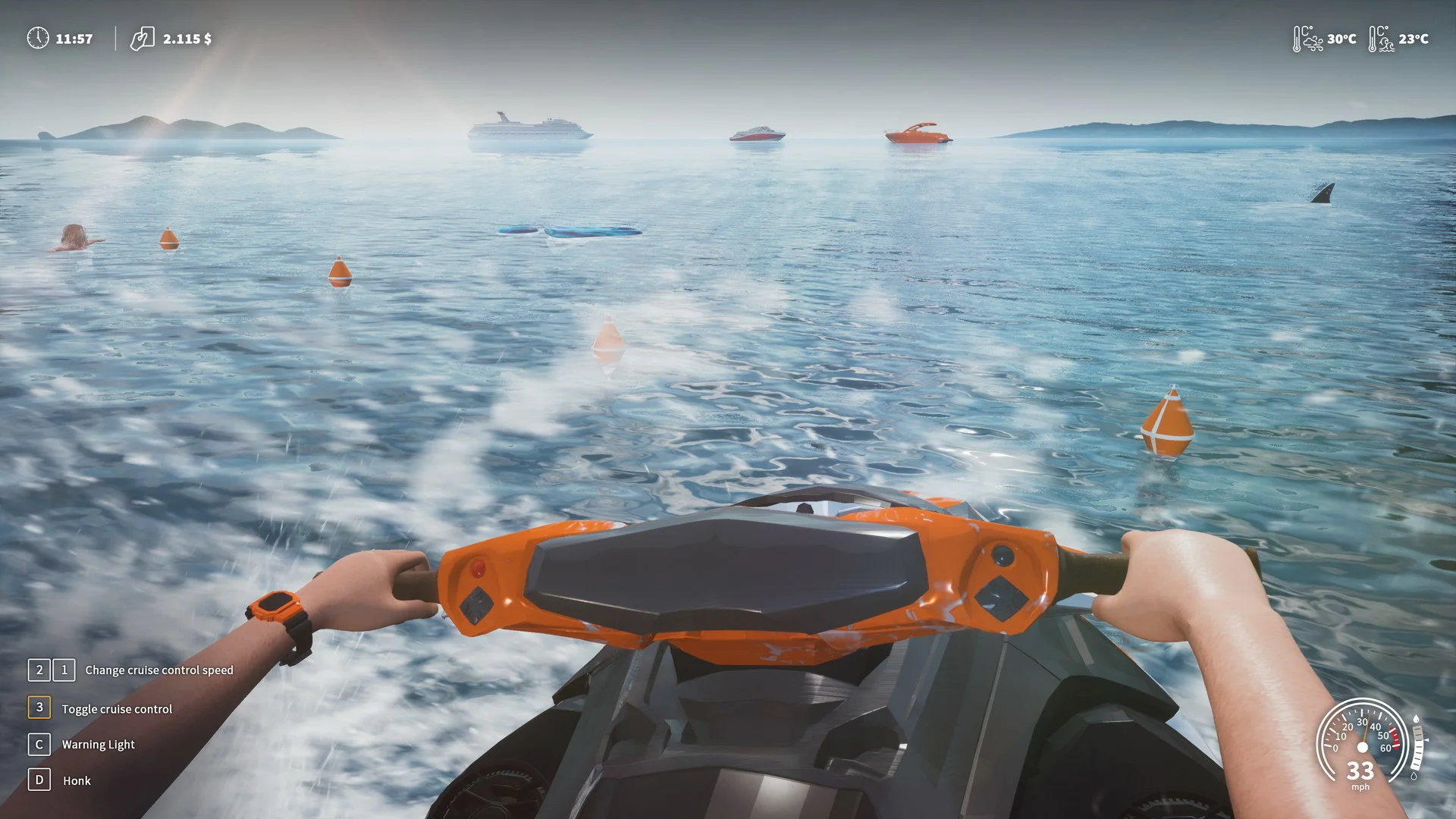 Lifeguard Simulator - кадр 16