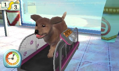 Paws & Claws Pampered Pets Resort 3D — скриншот 1