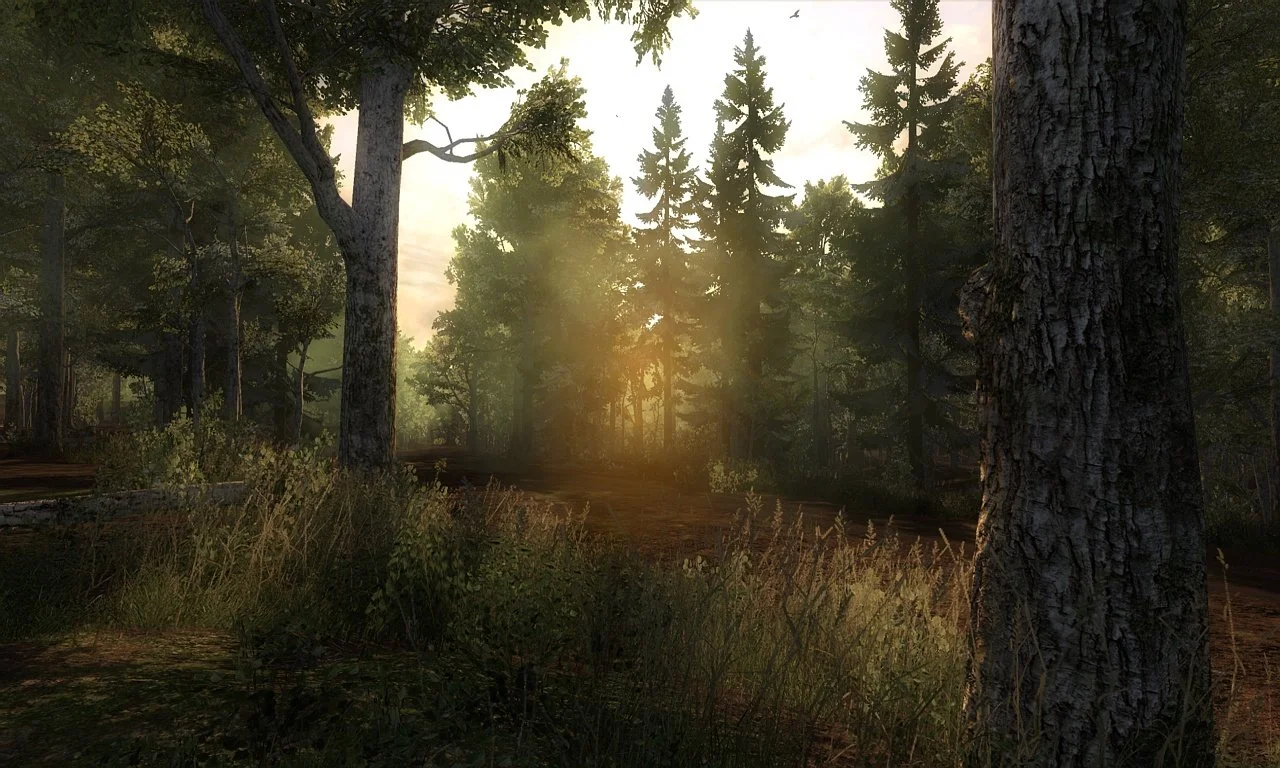theHunter - кадр 16