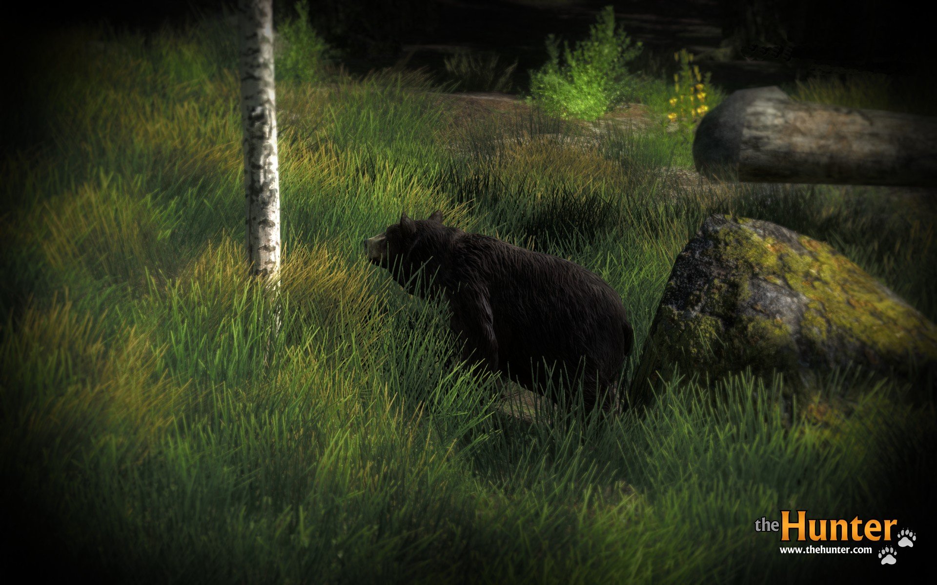 theHunter — скриншот 5