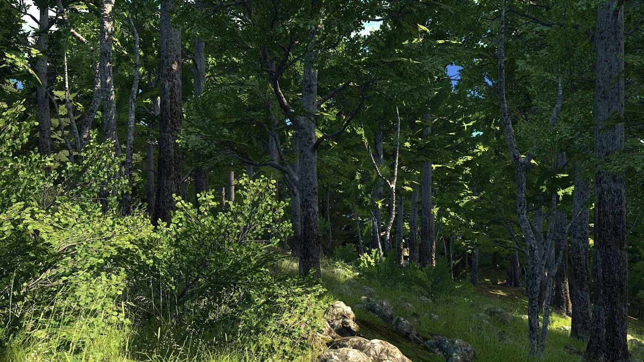 theHunter - кадр 13