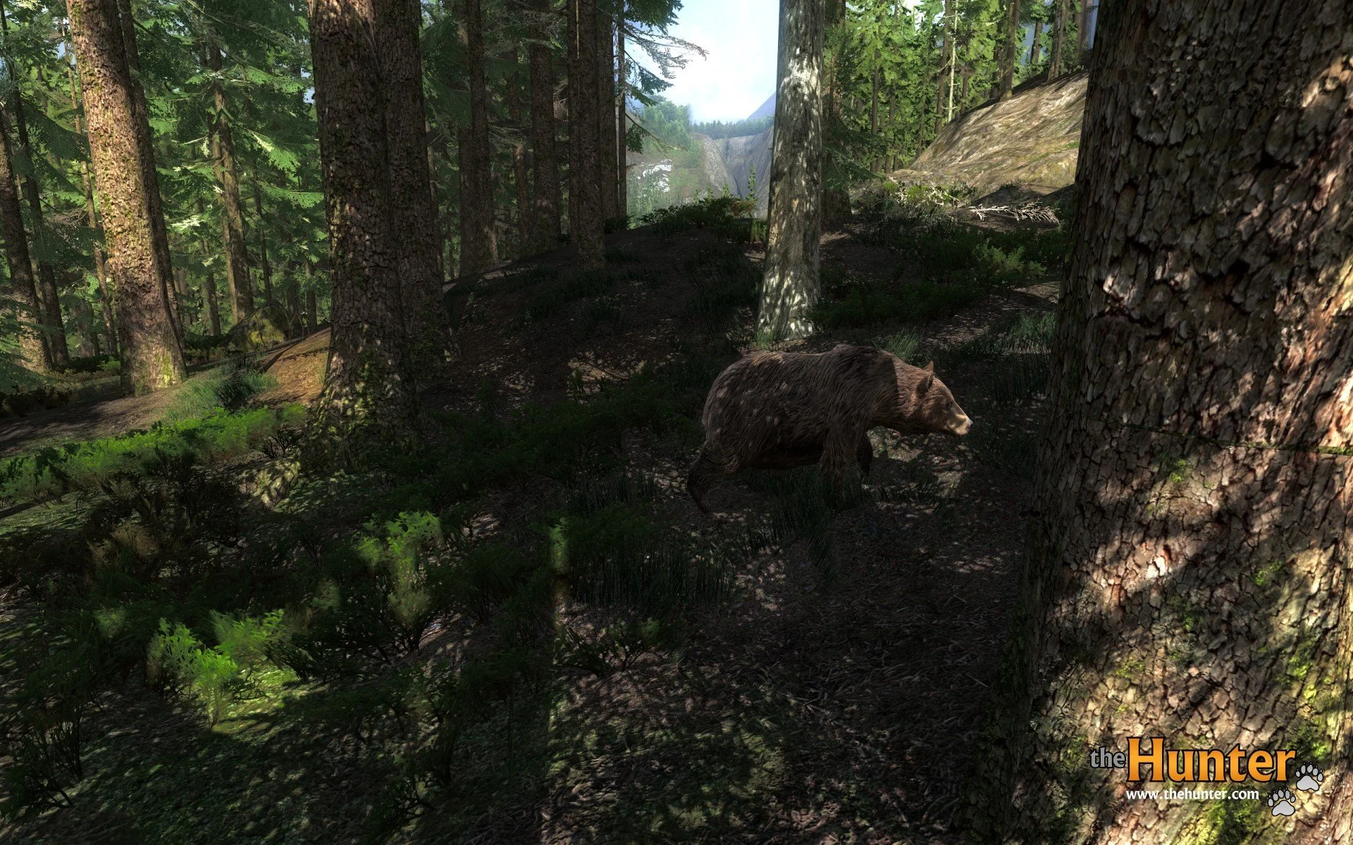 theHunter - кадр 7