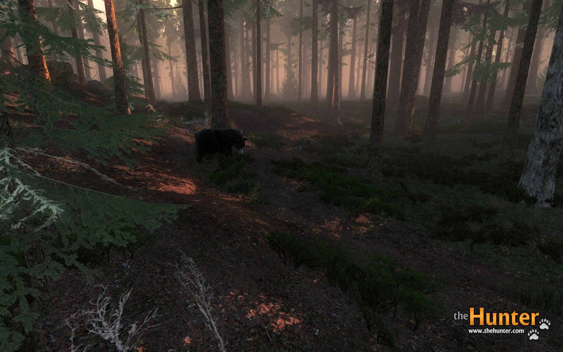 theHunter - кадр 5