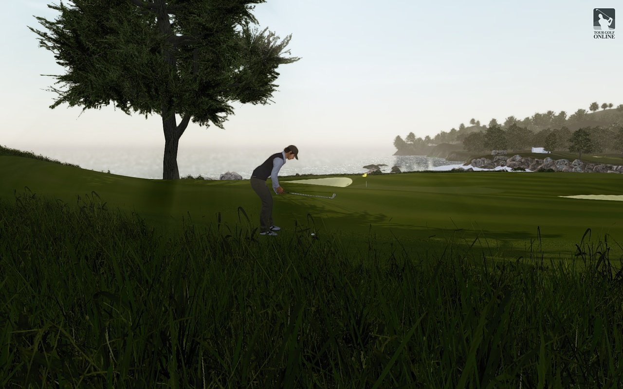 Tour Golf Online — скриншот 4