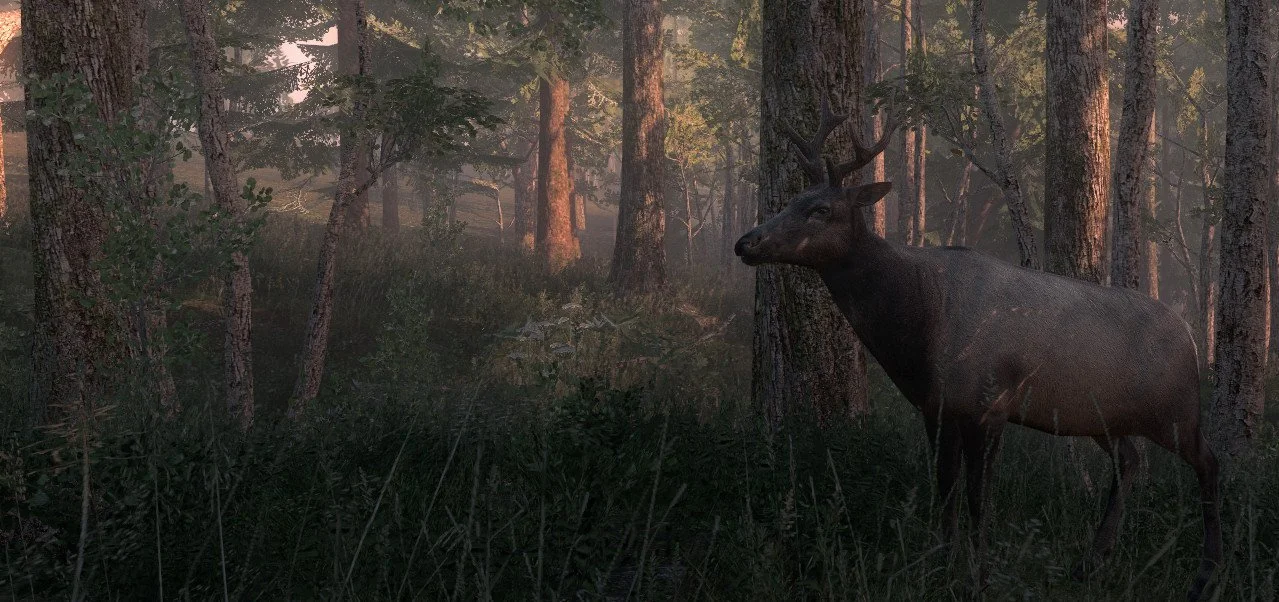 theHunter - кадр 18
