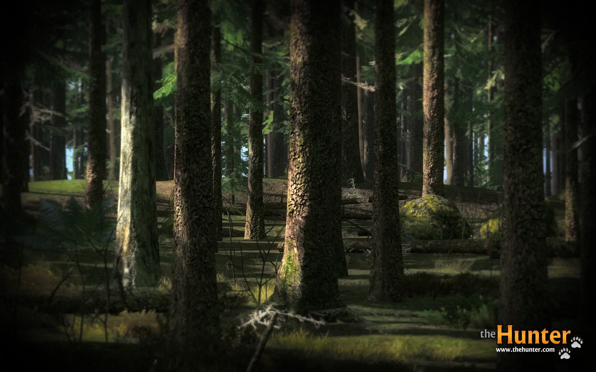 theHunter — скриншот 6