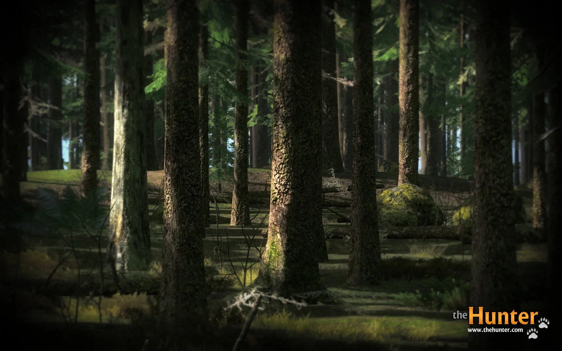 theHunter - кадр 3