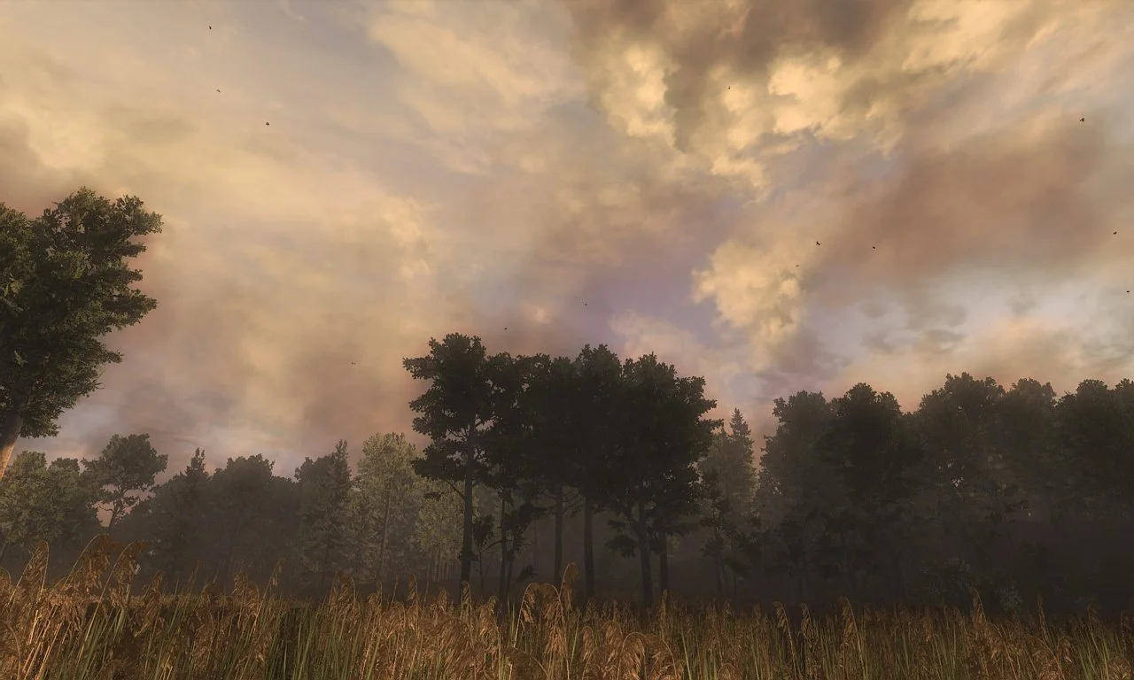 theHunter - кадр 14