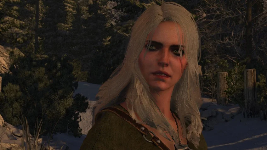 The Witcher 2: Assassins of Kings - кадр 1