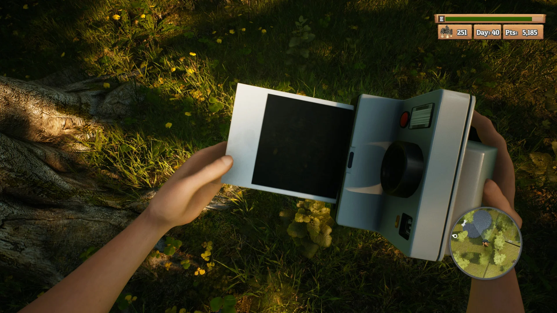 Morels: The Hunt - кадр 14