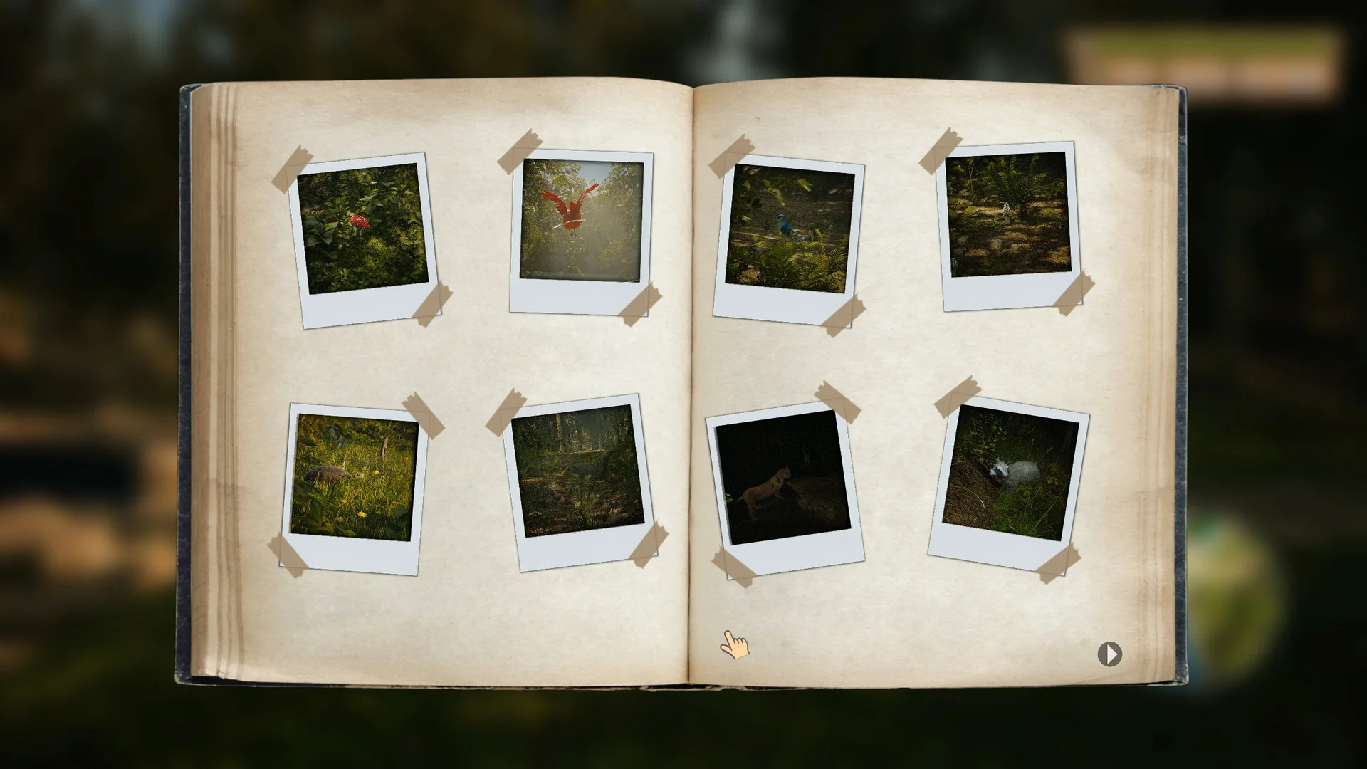 Morels: The Hunt - кадр 16