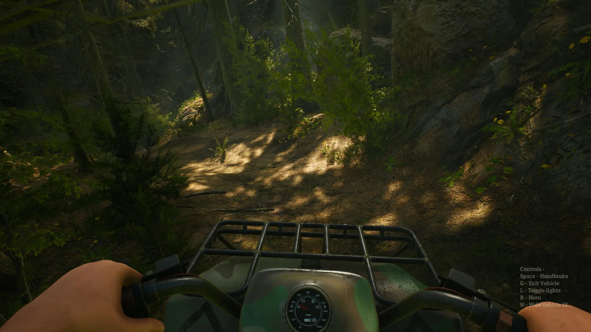 Morels: The Hunt - кадр 2