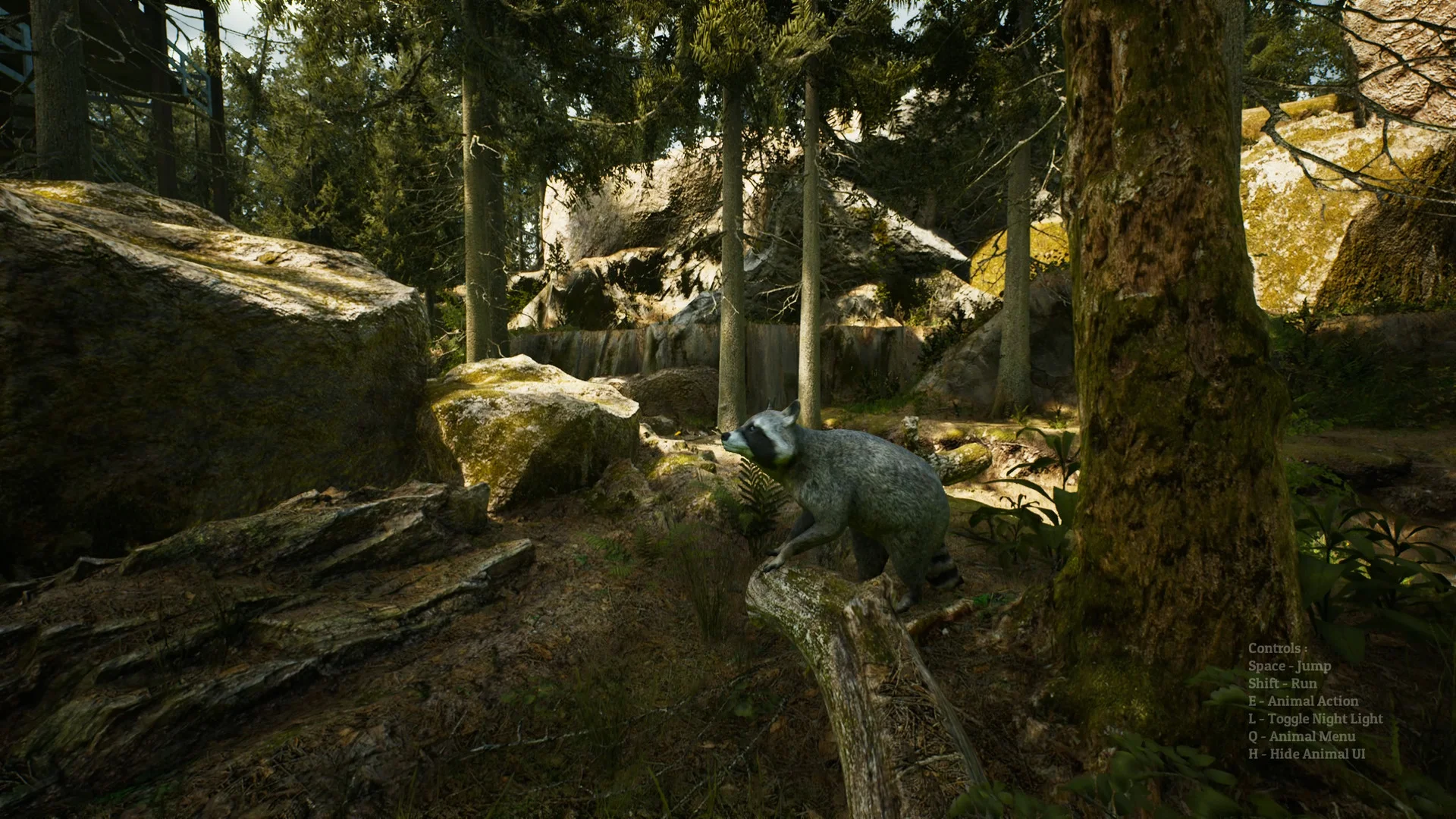 Morels: The Hunt - кадр 1