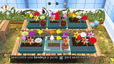Hello Flowerz — скриншот 5