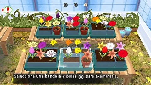 Hello Flowerz - кадр 5