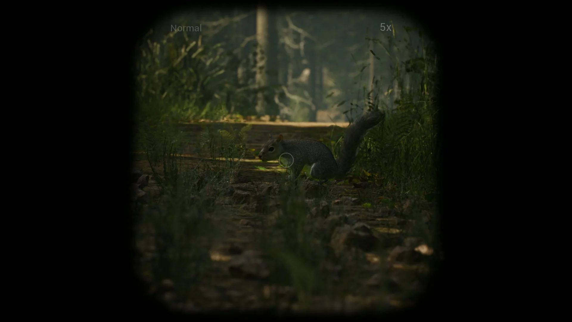 Morels: The Hunt - кадр 13