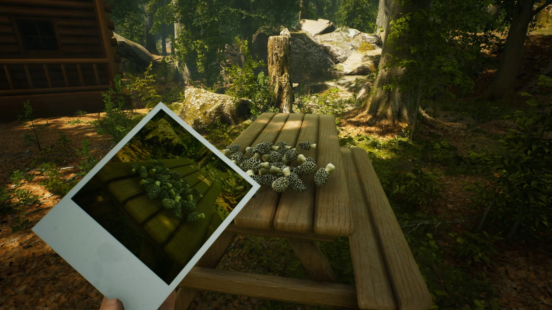 Morels: The Hunt - кадр 15