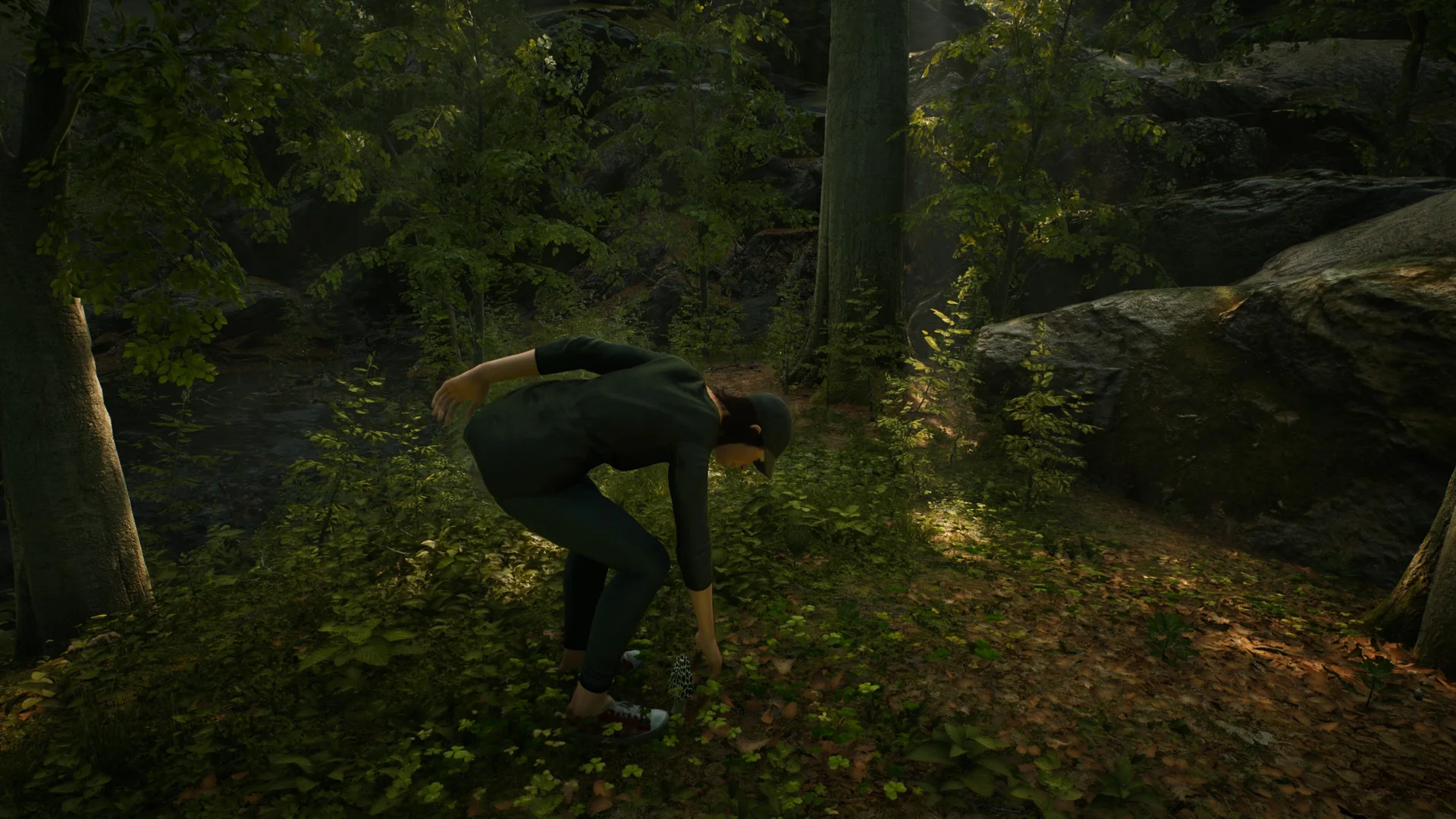 Morels: The Hunt - кадр 6