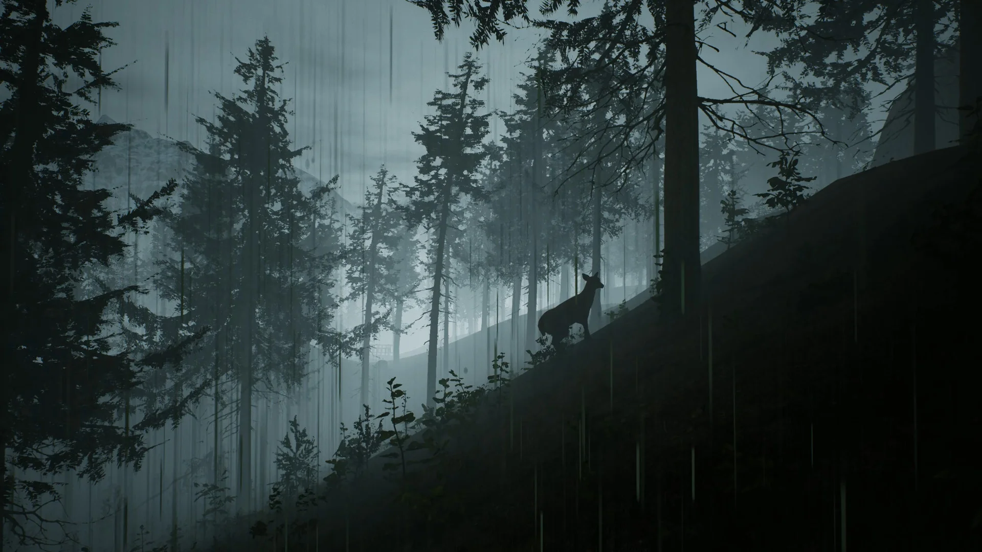 Morels: The Hunt - кадр 5