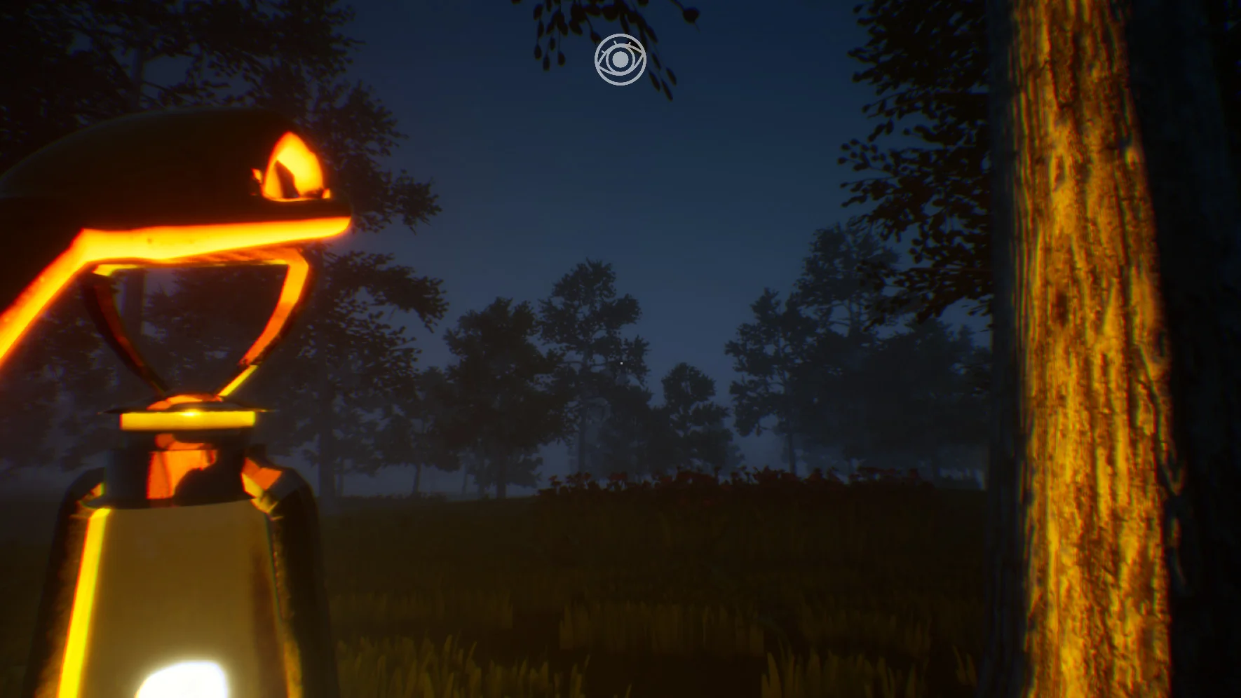 Nystagmus - кадр 6