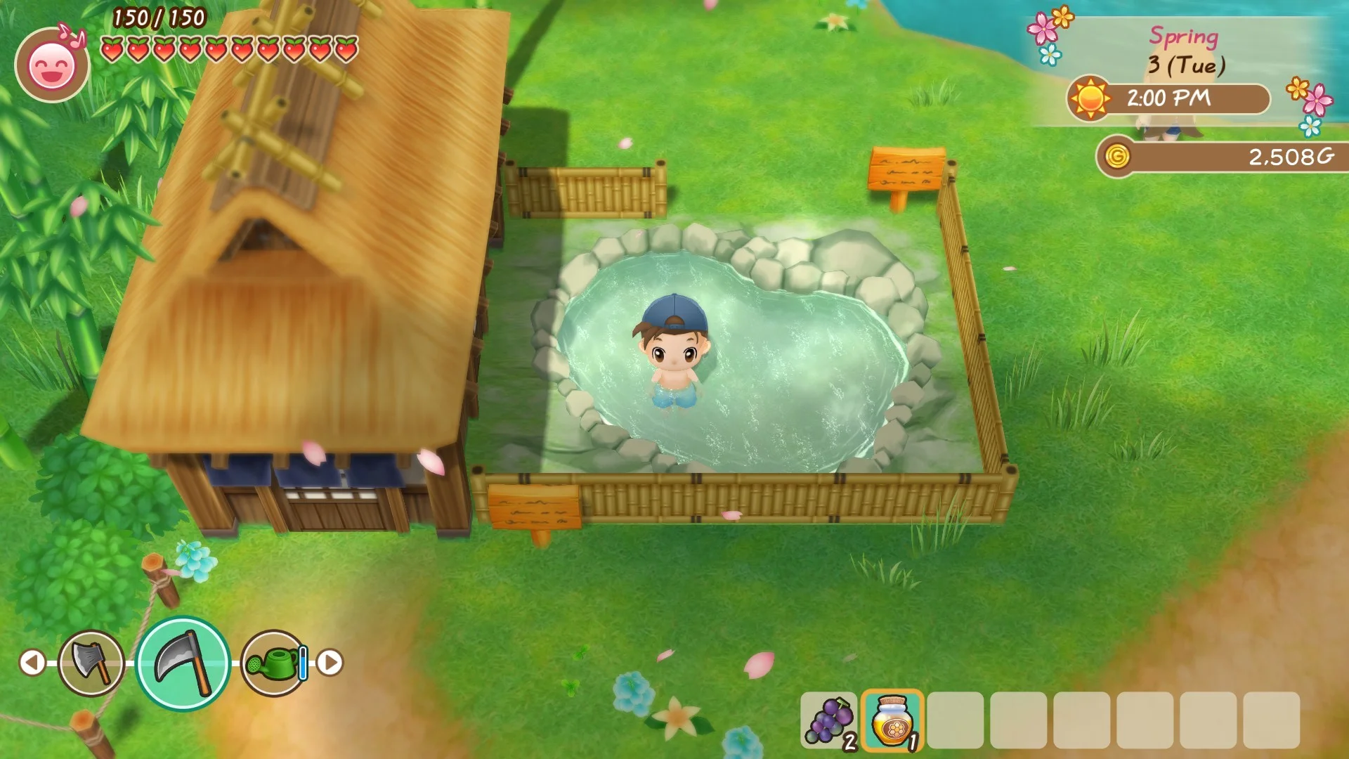 STORY OF SEASONS: Friends of Mineral Town - кадр 10