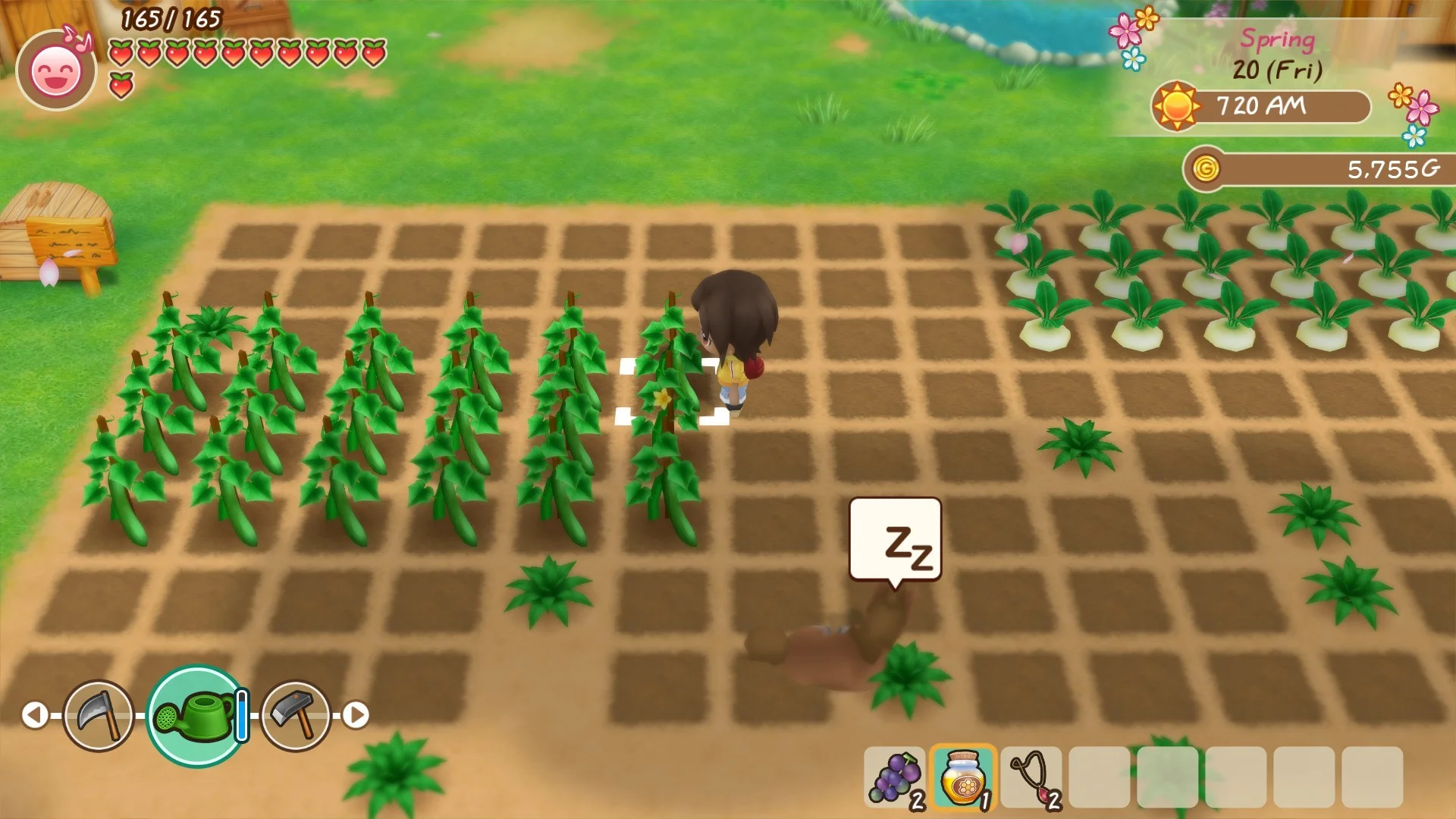 STORY OF SEASONS: Friends of Mineral Town - кадр 3