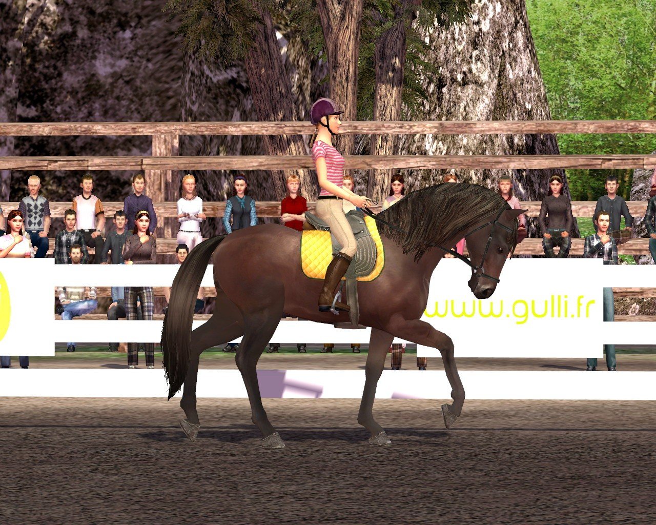 Ellen Whitaker's Horse Life - кадр 15
