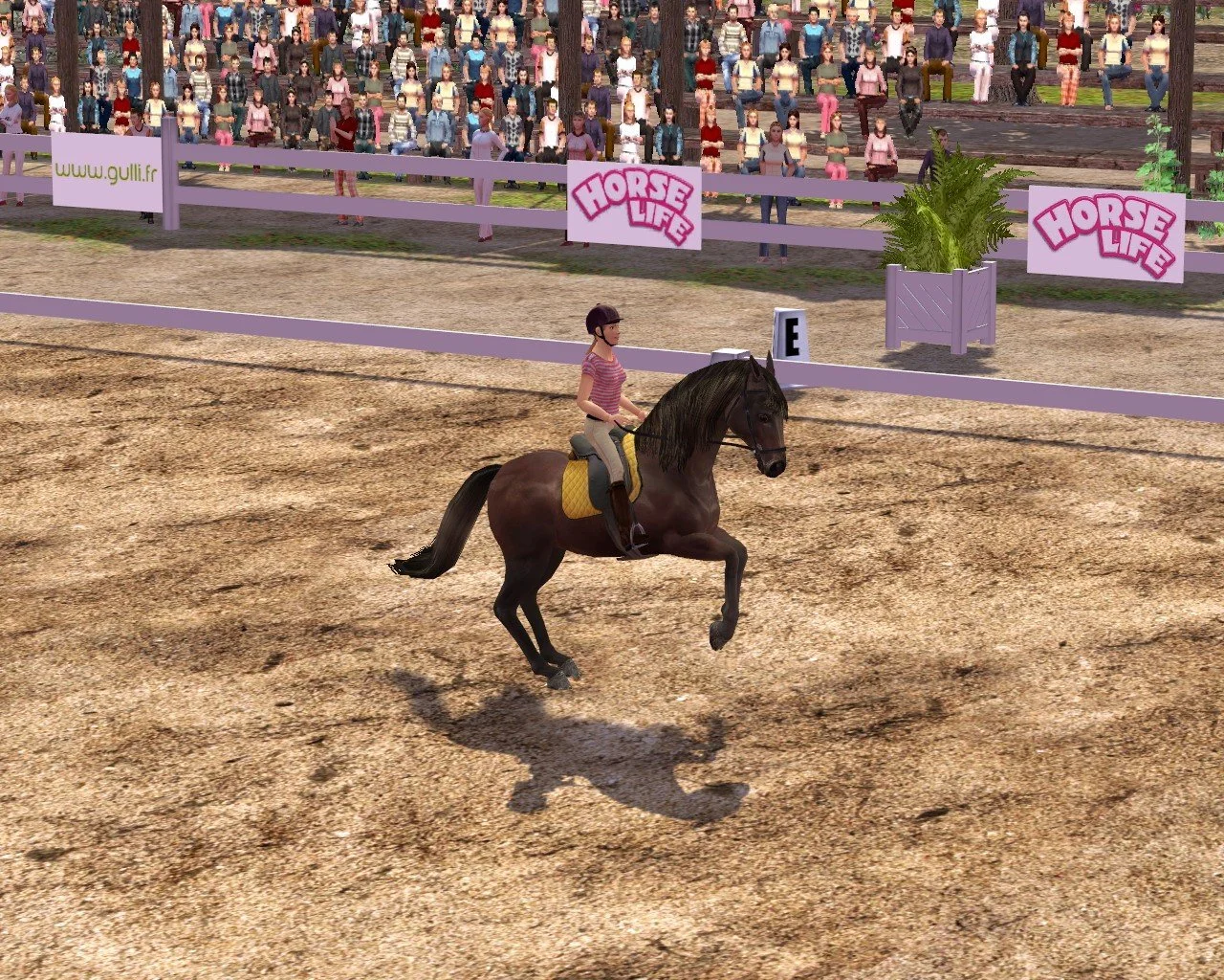 Ellen Whitaker's Horse Life - кадр 5