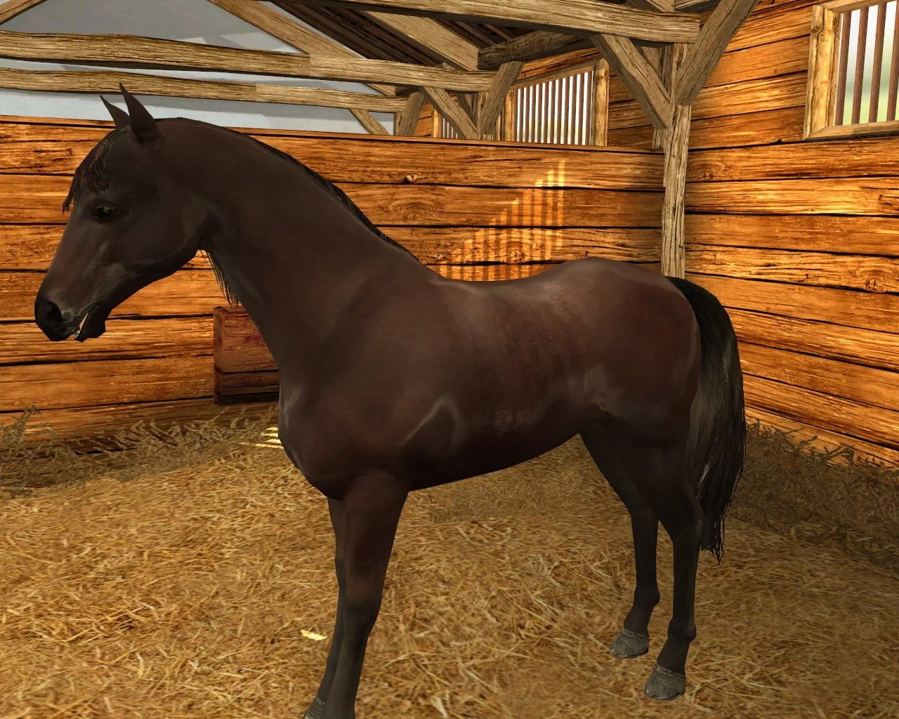 Ellen Whitaker's Horse Life - кадр 8