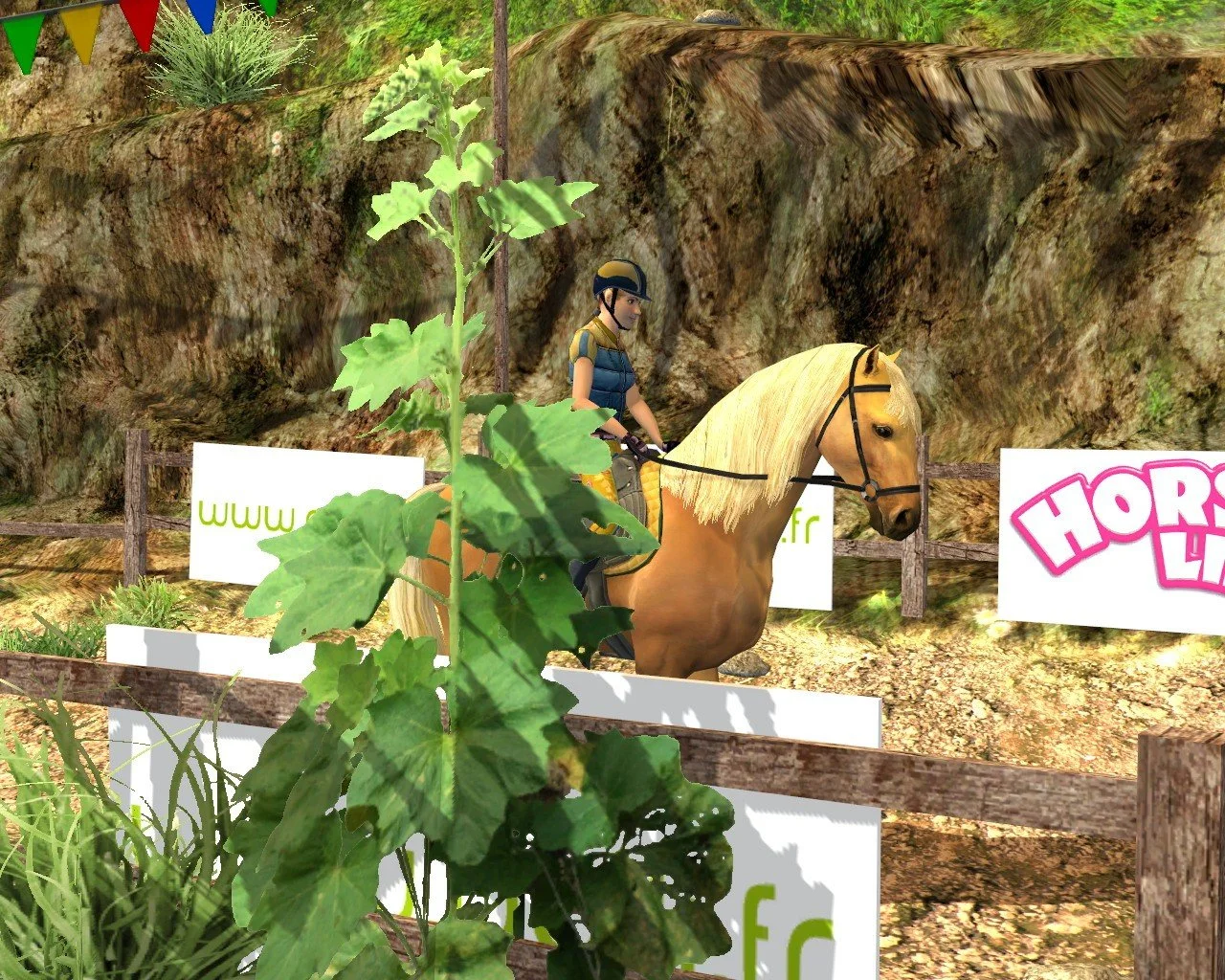 Ellen Whitaker's Horse Life - кадр 6