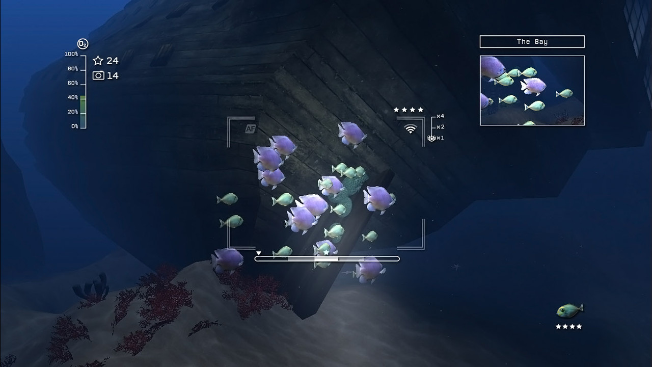 Reef Shot — скриншот 3