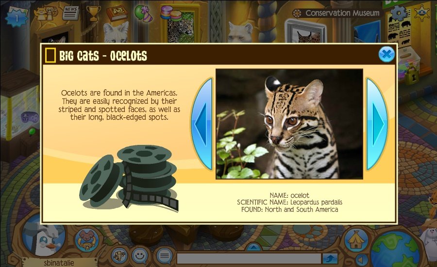 AnimalJam — скриншот 2
