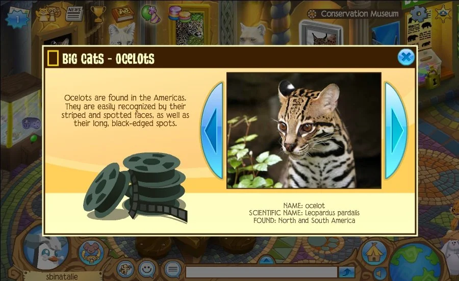 AnimalJam - кадр 2